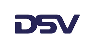 DSV-1
